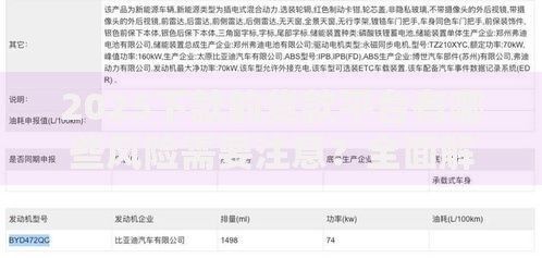 2025下款的货款平台有哪些风险需要注意？全面解析
