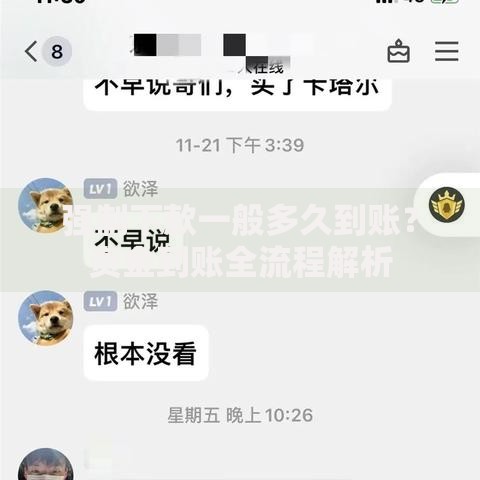 强制下款一般多久到账？资金到账全流程解析