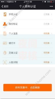 夜间审核秒下款：快速放款通道如何选择？
