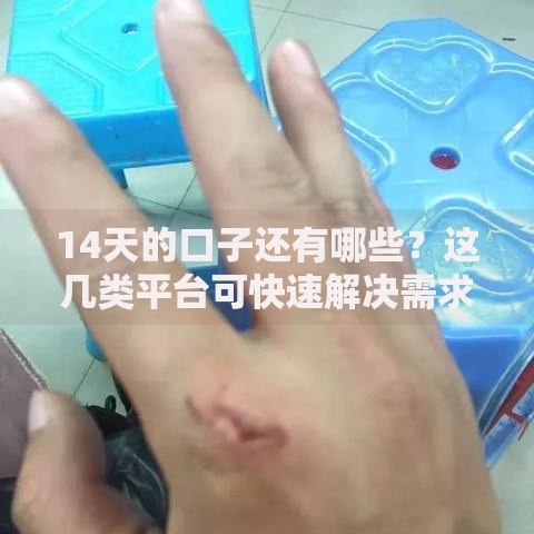14天的口子还有哪些？这几类平台可快速解决需求