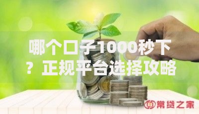 哪个口子1000秒下？正规平台选择攻略与深度解析