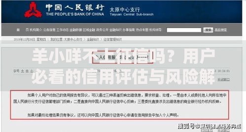 羊小咩不上征信吗？用户必看的信用评估与风险解析