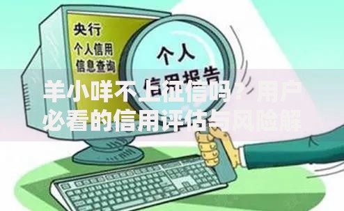 羊小咩不上征信吗？用户必看的信用评估与风险解析