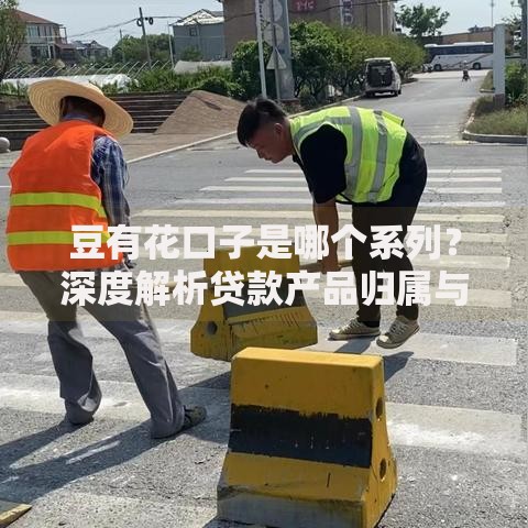 豆有花口子是哪个系列？深度解析贷款产品归属与特性