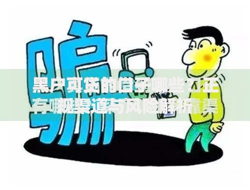 黑户可贷的口子哪些？正规渠道与风险解析