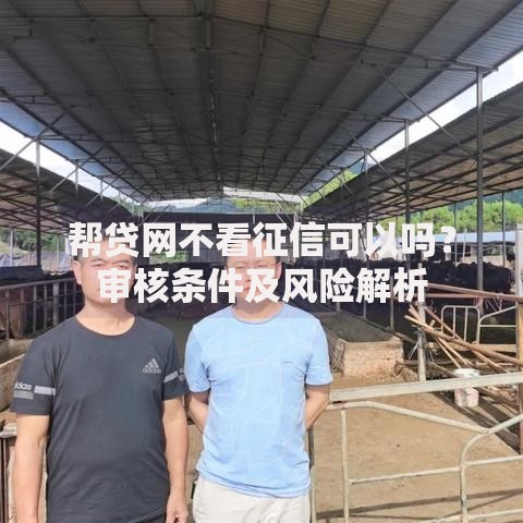 帮贷网不看征信可以吗？审核条件及风险解析