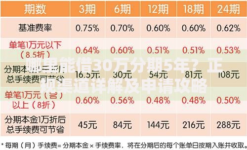 哪里能借30万分期5年？正规渠道详解及申请攻略