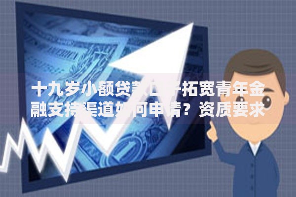 十九岁小额贷款口子拓宽青年金融支持渠道如何申请？资质要求有哪些？