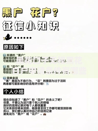 黑花口子无视黑花白户申请条件有哪些？