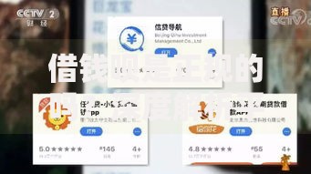 借钱呗是正规的吗？深度解析平台资质与安全性