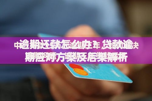 逾期还款怎么办？贷款逾期应对方案及后果解析