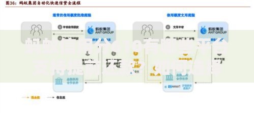 蚂蚁信用分610有哪些平台支持提前还款？如何选择低息方案