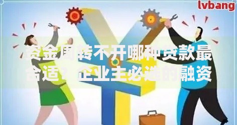 资金周转不开哪种贷款最合适？企业主必选的融资方案解析