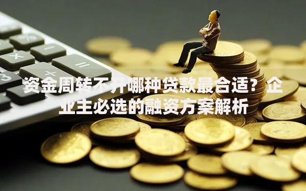 资金周转不开哪种贷款最合适？企业主必选的融资方案解析