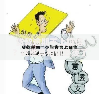 贷款逾期不上征信？这些真相你必须了解