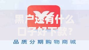 黑户还有什么口子好下款?低门槛借款渠道深度解析 黑户还有什么口子好下款?低门槛借款渠道深度解析