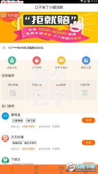 哪个口子容易下款快？最新低门槛贷款平台解析