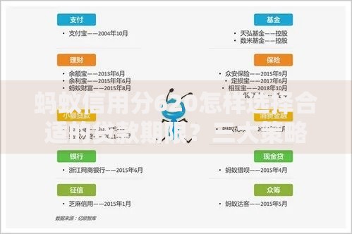 蚂蚁信用分620怎样选择合适的贷款期限？三大策略解析