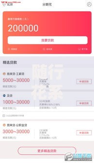 随行花系列口子有哪些？正规低息贷款平台推荐