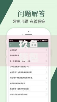 玖鱼钱包的口子都有哪些？正规低息贷款渠道解析