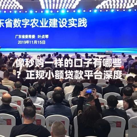 像秒购一样的口子有哪些？正规小额贷款平台深度解析