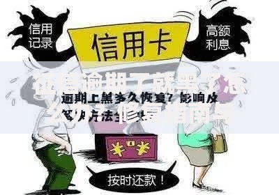 征信逾期了就黑了怎么办？修复指南与贷款解决方案