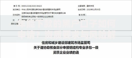 年能下款的黑户口子如何申请？资质要求与风险解析
