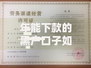 年能下款的黑户口子如何申请？资质要求与风险解析
