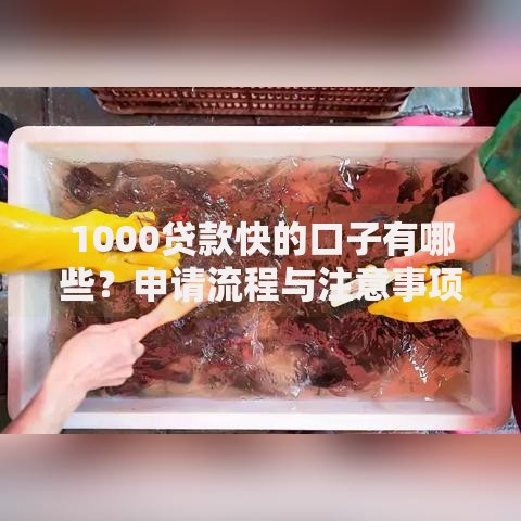 1000贷款快的口子有哪些？申请流程与注意事项全解析