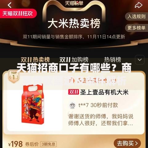 天猫招商口子有哪些？商家贷款渠道及条件解析