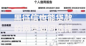 黑征信也能贷款的网贷如何选择安全平台 黑征信也能贷款的网贷如何选择安全平台