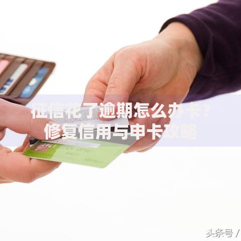 征信花了逾期怎么办卡？修复信用与申卡攻略