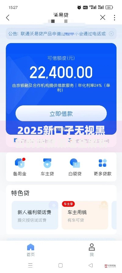 2025新口子无视黑白的贷款渠道全解析