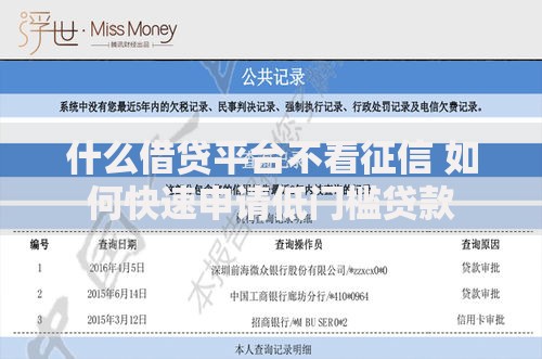 什么借贷平台不看征信 如何快速申请低门槛贷款