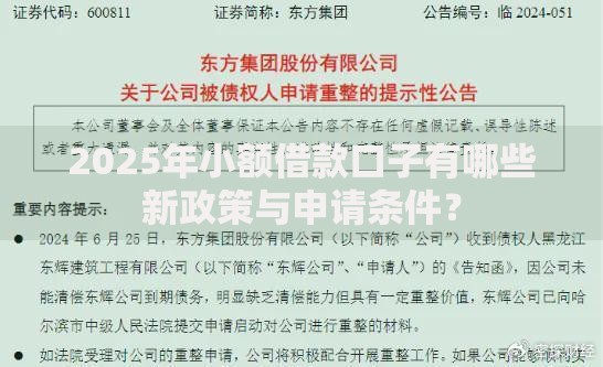 2025年小额借款口子有哪些新政策与申请条件？