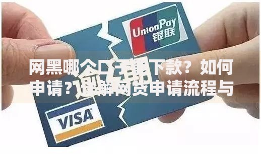 网黑哪个口子能下款？如何申请？详解网贷申请流程与风险