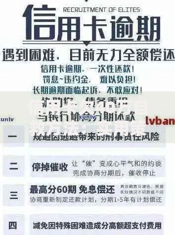 信用卡欠40万自救方法：实用策略与有效步骤解析