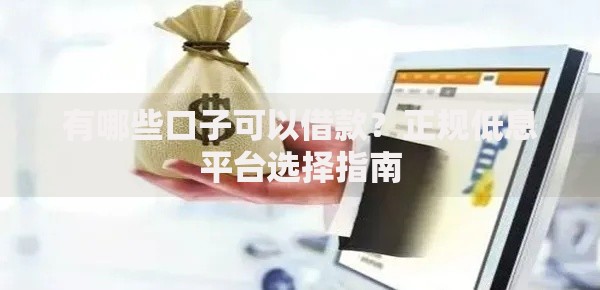 有哪些口子可以借款？正规低息平台选择指南