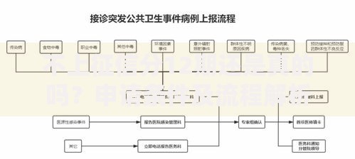 不上征信分12期还是真的吗？申请条件及流程解析