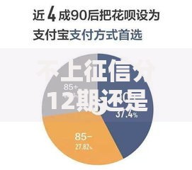 不上征信分12期还是真的吗？申请条件及流程解析