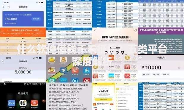 什么软件借钱不看征信？五类平台深度解析