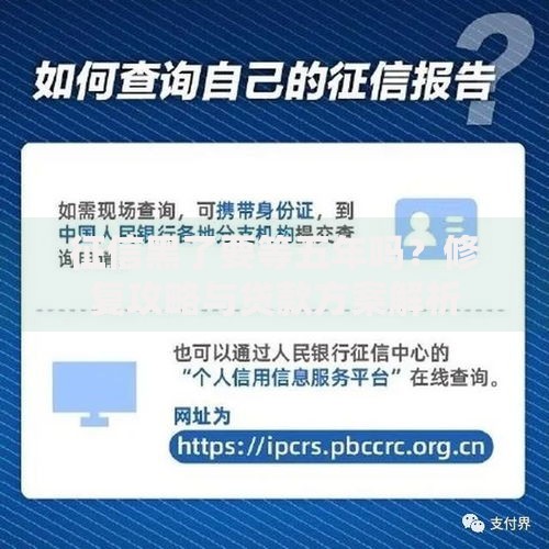 征信黑了要等五年吗？修复攻略与贷款方案解析