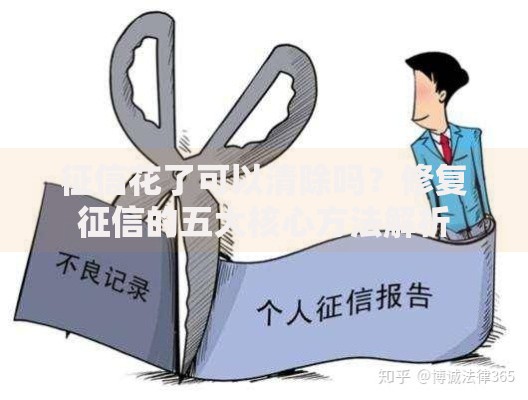 征信花了可以清除吗？修复征信的五大核心方法解析