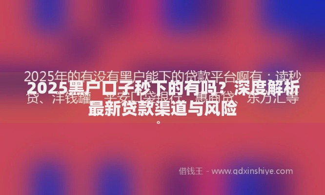2025黑户口子秒下的有吗？深度解析最新贷款渠道与风险