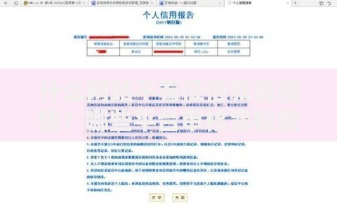 什么网站不看征信就能借钱？哪些平台审核宽松放款快