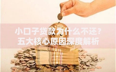 小口子贷款为什么不还？五大核心原因深度解析