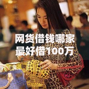 网货借钱哪家最好借100万？权威解析平台选择与流程指南
