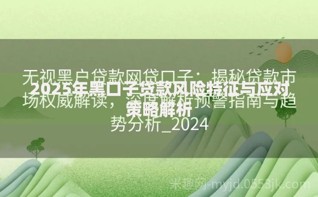2025年黑口子贷款风险特征与应对策略解析