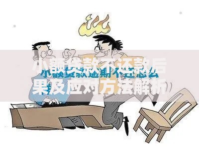小额贷款不还款后果及应对方法解析