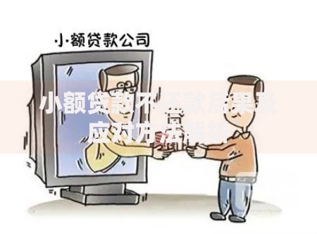 小额贷款不还款后果及应对方法解析
